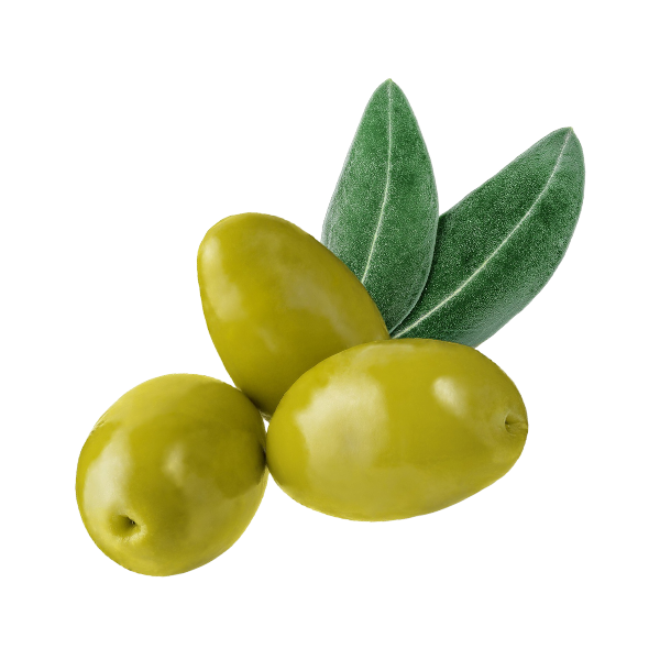 زيت الزيتون